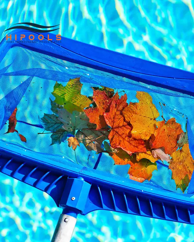 A person using a skimmer net to remove leaves and debris from a sparkling blue swimming pool