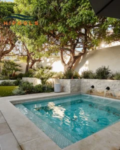 Smart Luxury pool