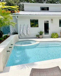 Modern Minimalist Plunge Pool